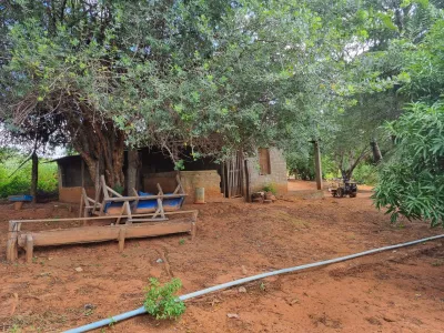Excelente Sítio à Venda em Caraíbas – 3 Hectares, Casa e Estrutura Completa – Água em Abund? - Foto 41