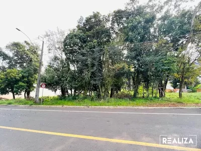 Terreno para venda no Bairro  Vila Isabel em Pato Branco-PR - Foto 4