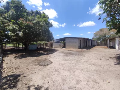 Sítio a venda na Lagoa das Flores com 2 casas, árvores frutíferas, poço artesiano, irrigação, - Foto 17