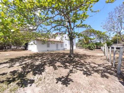 Sítio a venda na Lagoa das Flores com 2 casas, árvores frutíferas, poço artesiano, irrigação, - Foto 4