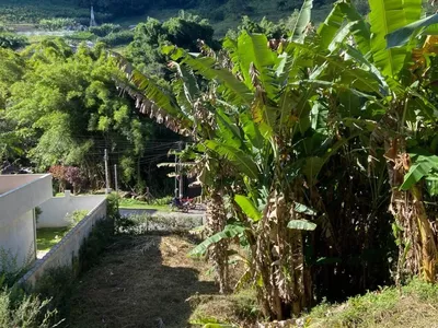 Terreno para venda, Boa Esperança, Lumiar - Rio de Janeiro - Foto 9
