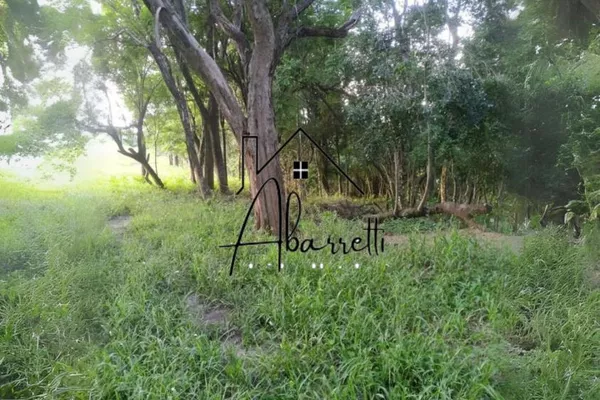 Sítio à venda com 25.509 m² em Manduca Coelho - Foto 5