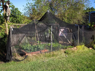 Chácara à venda no bairro Tupi, com 1.650 m² de terreno, nascente de água, piscina e 2 quartos - Foto 40