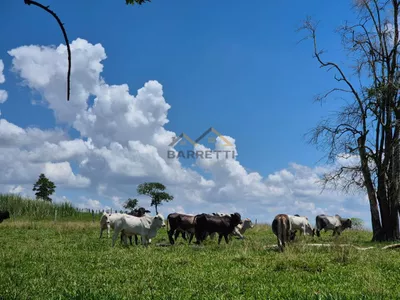 Sítio de 6,6 hectares com água, solo fértil e alto potencial produtivo à venda no Manduca Coelho - Foto 20