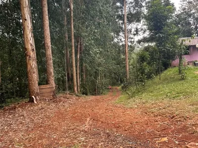 Chácara com 04 Alqueires para venda a 6km do PB Shopping em Pato Branco - Foto 6