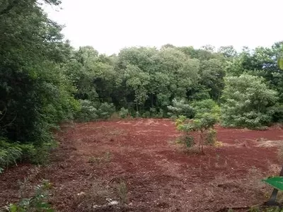 Londrina - Terreno - Jardim Granville Parque Residencial - Foto 2