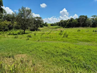 Sítio de 6,6 hectares com água, solo fértil e alto potencial produtivo à venda no Manduca Coelho - Foto 26