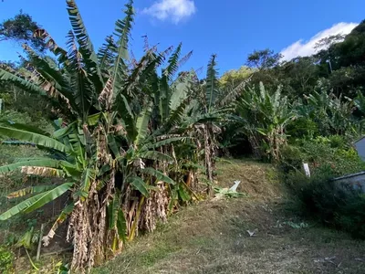 Terreno para venda, Boa Esperança, Lumiar - Rio de Janeiro - Foto 4