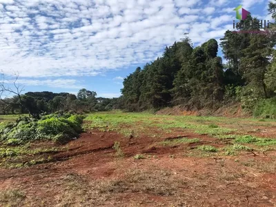 Terreno na PR 280, Trevo p/ Pato Branco com 45.454 - Foto 6