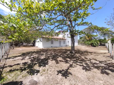 Sítio a venda na Lagoa das Flores com 2 casas, árvores frutíferas, poço artesiano, irrigação, - Foto 3