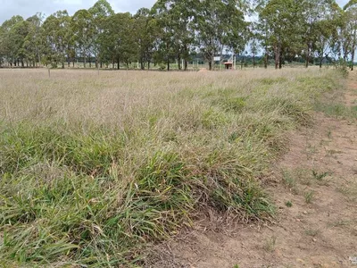 TERRENO A VENDA, COM PARCELA ATE 60 VEZES OTIMA OPORTUNIDADE , BAIRRO CIDADE JARDIM, BARRA DO CHO? - Foto 4