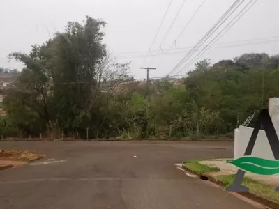 Londrina - Terreno -  Jardim Paris - Foto 4