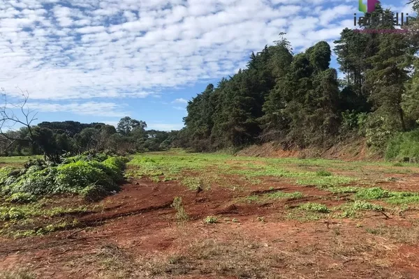 Terreno na PR 280, Trevo p/ Pato Branco com 45.454 - Foto 6