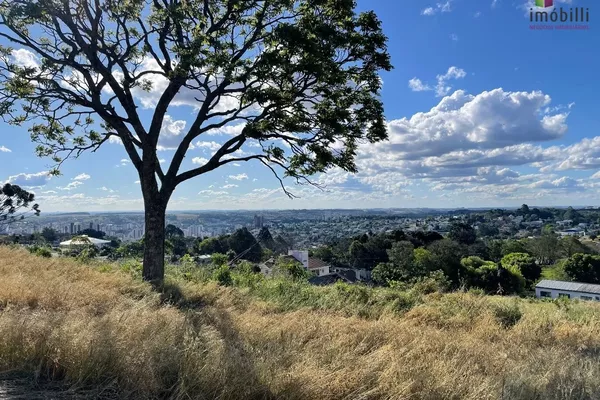 Terreno para venda Loteamento Jardim Matilde, Bairro La Salle, Pato Branco - Foto 6