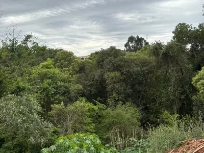 Terreno Grande para venda, Rua Augusto Redivo Fraron, Pato Branco-pr - Foto 5