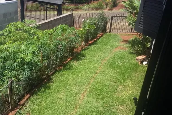 Casa para venda - Foto 3