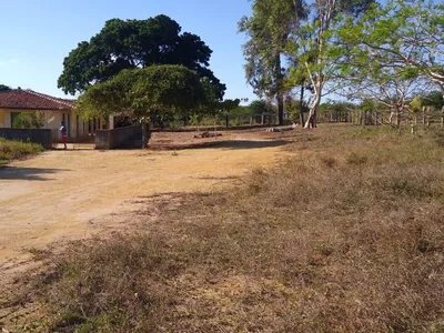 Vendo Fazenda com 726 hectares de área plana, Lagoa Preta, município de Tremedal - BA - Foto 4