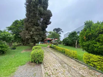 Terreno/chácara para venda no Tatuquara/Campo do Santana com 10.000m² Curitiba - Foto 29