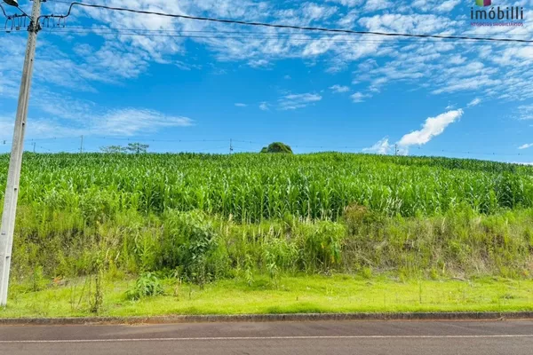 Terreno em aclive (acima do nível da rua) para venda,  Fraron, Pato Branco - Foto 3