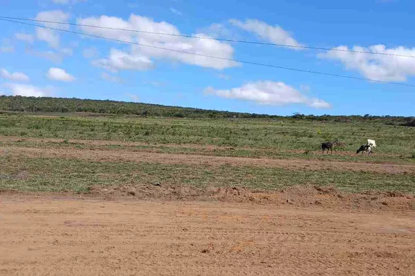 Lote à Venda com área 8 mil metros quadrados na Rodovia Barra do Choça, Estiva , Vitória da Con - Foto 2