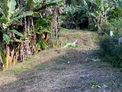Terreno para venda, Boa Esperança, Lumiar - Rio de Janeiro - Foto 8