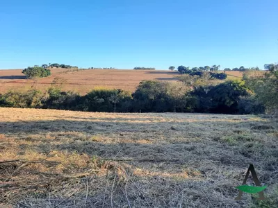Cambé - Chácara - Santa Maria - Foto 2
