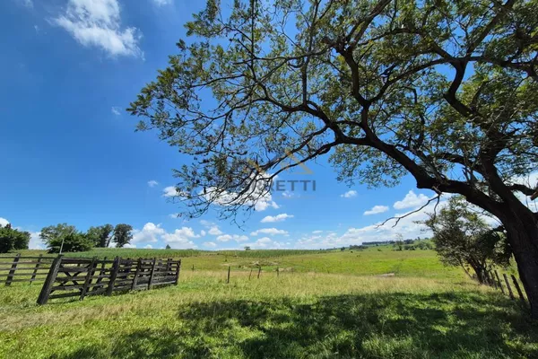 Sítio de 6,6 hectares com água, solo fértil e alto potencial produtivo à venda no Manduca Coelho - Foto 6