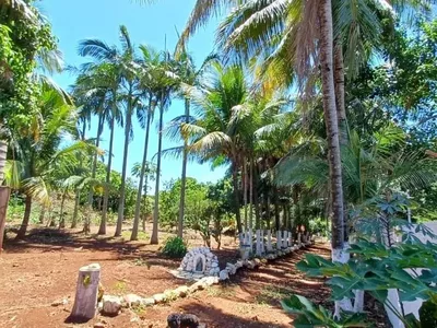 Alvorada do Sul - Chácara - 2 quartos - Recanto dos Magnatas - Foto 3
