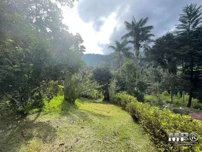 Sítio com 20 mil metros,  Lumiar, Nova Friburgo - Foto 11