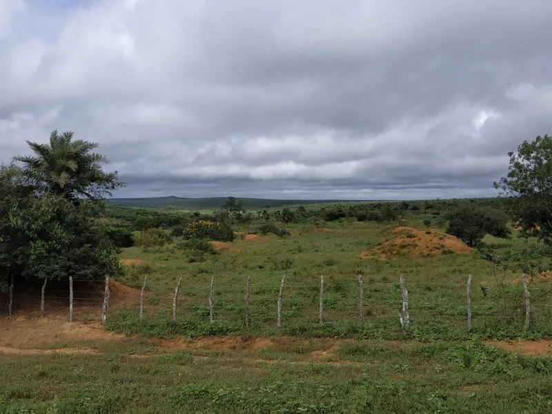 FAZENDA A VENDA REGIÃO DO MORRO DO CHAPÉU - Foto Principal