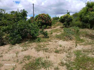 Sítio à Venda, zona Rural , São Sebastião do Passé, BA - Foto 20