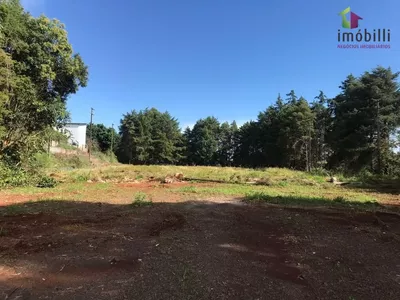 Terreno na PR 280, Trevo p/ Pato Branco com 45.454 - Foto 4