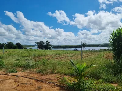 Excelente Sítio à Venda em Caraíbas – 3 Hectares, Casa e Estrutura Completa – Água em Abund? - Foto 36