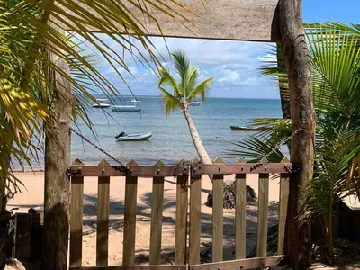 Casa, terreno à Venda Em Barra Grande, Vila, Maraú, BA - Foto 12