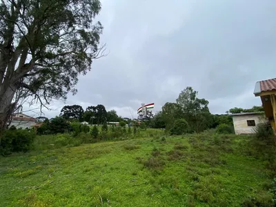 Terreno/chácara para venda no Tatuquara/Campo do Santana com 10.000m² Curitiba - Foto 21