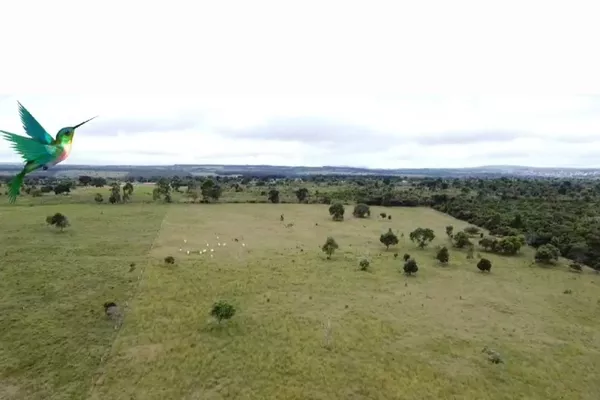 Otima Fazenda à Venda, Zona Rural , Barra do Choça, BA - Foto 2