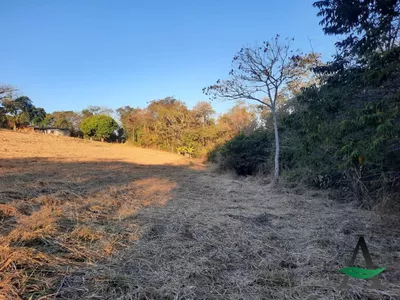 Cambé - Chácara - Santa Maria - Foto 5