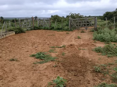 FAZENDA A VENDA REGIÃO DO MORRO DO CHAPÉU - Foto 2