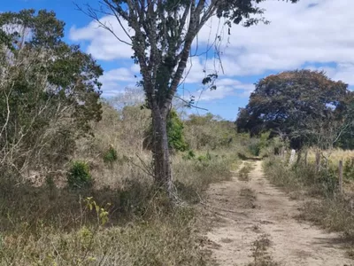 Fazenda em 112 hectares em Planalto - Foto 4