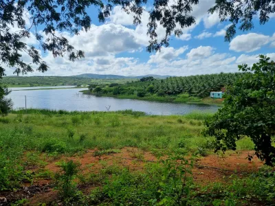 Excelente Sítio à Venda em Caraíbas – 3 Hectares, Casa e Estrutura Completa – Água em Abund? - Foto 30