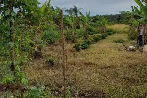 Vende-se Chácara na Zona Rural em Barra do Choça - Foto 2