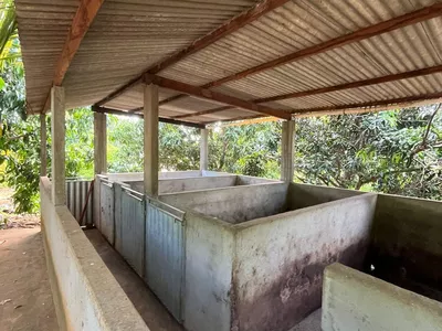 Excelente Sítio à Venda em Caraíbas – 3 Hectares, Casa e Estrutura Completa – Água em Abund? - Foto 43