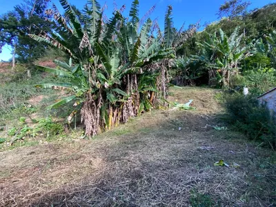 Terreno para venda, Boa Esperança, Lumiar - Rio de Janeiro - Foto 10