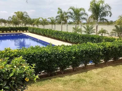 Casa com 4 suítes, piscina com hidromassagem e garagem para 4 carros à venda, no Alphaville, Vit? - Foto 22