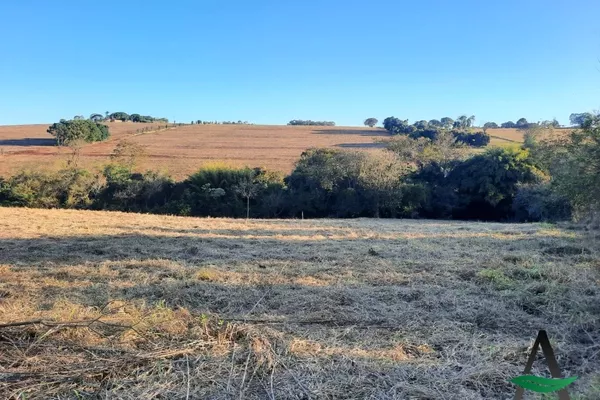 Cambé - Chácara - Santa Maria - Foto 2