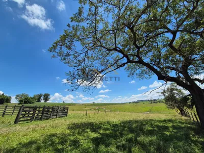 Sítio de 6,6 hectares com água, solo fértil e alto potencial produtivo à venda no Manduca Coelho - Foto 6