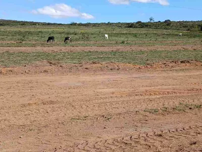 Lote à Venda com área 8 mil metros quadrados na Rodovia Barra do Choça, Estiva , Vitória da Con - Foto 7