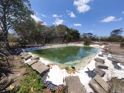 Sítio a venda na Lagoa das Flores com 2 casas, árvores frutíferas, poço artesiano, irrigação, - Foto 25