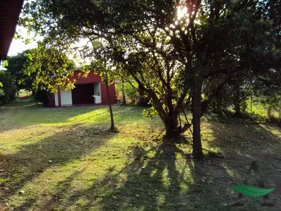 Paranagi - Rural  Chácara - Centro - Foto 46
