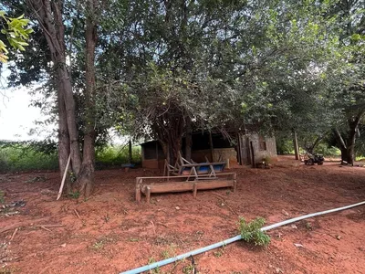 Excelente Sítio à Venda em Caraíbas – 3 Hectares, Casa e Estrutura Completa – Água em Abund? - Foto 26
